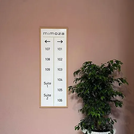 Mimoza אולודניץ