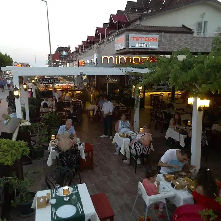 Mimoza מלון אולודניץ
