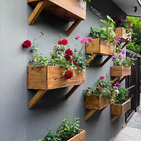 Mimoza 厄吕代尼兹