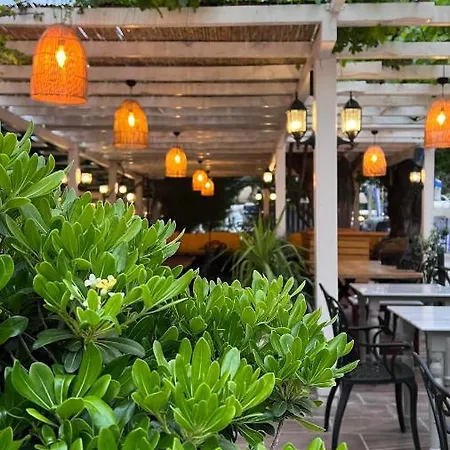 فندق Mimoza 5*