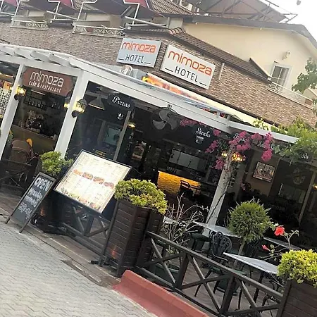 Mimoza فندق أولدينيس