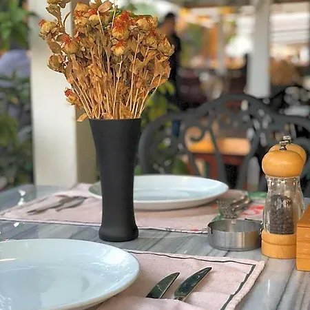 Mimoza أولدينيس