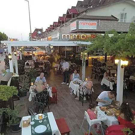 Mimoza