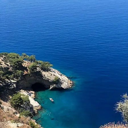 Mimoza Oludeniz