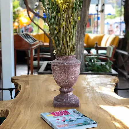 Hotel Mimoza Ölüdeniz