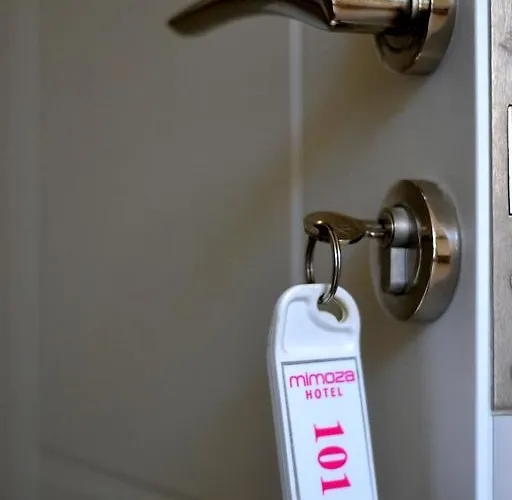 Hotell Mimoza
