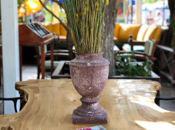 Hotel Mimoza Ölüdeniz